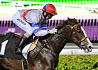 Filly Takes on the Boys in Singapore Classic Filly Takes on the Boys in Singapore Classic
