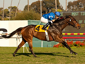 35-1 Better Lucky All Good in Wild Matriarch 35-1 Better Lucky All Good in Wild Matriarch