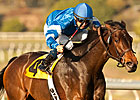 Better Lucky Heads Noble Damsel After Respite Better Lucky Heads Noble Damsel After Respite