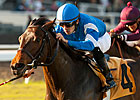 Better Lucky Meets Tough Cast in Matriarch Better Lucky Meets Tough Cast in Matriarch