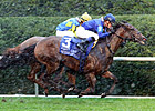 Keeneland: Wet, But Certainly Not All Wet Keeneland: Wet, But Certainly Not All Wet