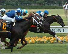 Pair of Turf Rivals Headline Sword Dancer Pair of Turf Rivals Headline Sword Dancer