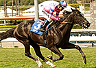 Bettys Bambino Draws Well in Downhill Daytona Bettys Bambino Draws Well in Downhill Daytona