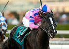 Bettys Bambino Wins Daytona in Stakes Debut Bettys Bambino Wins Daytona in Stakes Debut