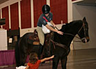 OTTB Riding Center Spotlight: Square Peg OTTB Riding Center Spotlight: Square Peg