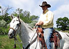 OTTB Program Spotlight: Great Geldings