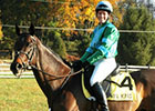 OTTB Spotlight: Kicken Kris OTTB Spotlight: Kicken Kris