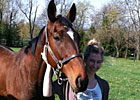 Beyond The Blinkers: OTTB Spotlight: El Bomba