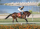 OTTB: Stone Cold Angel and Liberian Freighter OTTB: Stone Cold Angel and Liberian Freighter