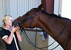 OTTB Program Spotlight: New Vocations OTTB Program Spotlight: New Vocations