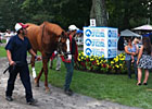 Beyond The Blinkers: Saratoga State of Mind Beyond The Blinkers: Saratoga State of Mind