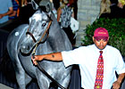 A Day in My Life at Keeneland September