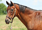 Beyond The Blinkers: Lotka to Visit Keeneland Beyond The Blinkers: Lotka to Visit Keeneland