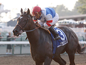 Beyondallboundarys Ready for Victory Ride Beyondallboundarys Ready for Victory Ride