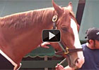 My Preakness Experience Via Video My Preakness Experience Via Video