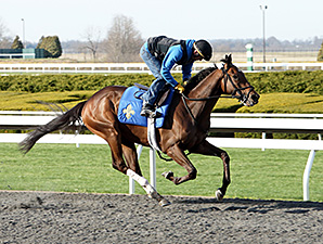 Blue Grass Contenders in Keeneland Workouts Blue Grass Contenders in Keeneland Workouts