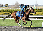 Blue Grass Contenders in Keeneland Workouts Blue Grass Contenders in Keeneland Workouts