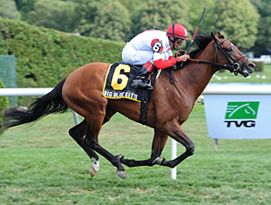 Big Blue Kitten Skims Rail, Scores HOF Stakes Big Blue Kitten Skims Rail, Scores HOF Stakes