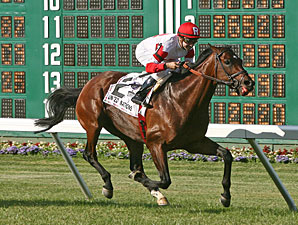 Big Blue Kitten Pounces to United Nations Win Big Blue Kitten Pounces to United Nations Win