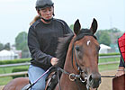 Big Brown Jogs at Churchill Downs Big Brown Jogs at Churchill Downs