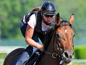 Fans Await Triple Crown Possibility Fans Await Triple Crown Possibility