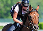 Fans Await Triple Crown Possibility