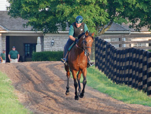 Big Brown Galloping at Three Chimneys Big Brown Galloping at Three Chimneys