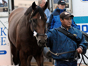 Big Brown Arrives at Pimlico Big Brown Arrives at Pimlico