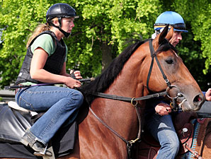 Big Brown on Track Again; Tomcito Works Big Brown on Track Again; Tomcito Works