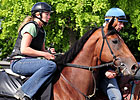 Big Brown on Track Again; Tomcito Works