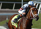 Big Brown Paces Derby Pool 3 at Midpoint