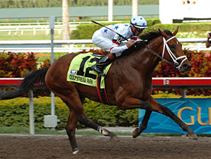 Blog: Don't Crown Big Brown Just Yet Blog: Don't Crown Big Brown Just Yet