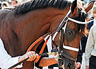 Big Brown to Stand at Three Chimneys