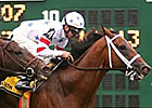Big Brown Holds Off Proudinsky On Turf