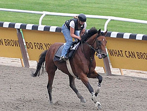 Big Brown Gets in Final Gallop Big Brown Gets in Final Gallop