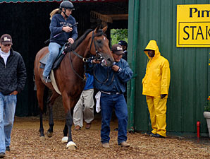 Haskin's Preakness Analysis: Vroom! Haskin's Preakness Analysis: Vroom!