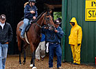 Haskin's Preakness Analysis: Vroom!