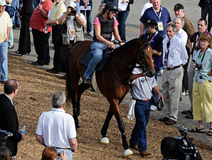 Haskin Preakness Report: Brown's in Town Haskin Preakness Report: Brown's in Town