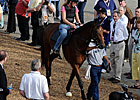 Haskin Preakness Report: Brown's in Town