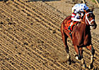 Haskin's Preakness Recap: Bye, Bye, Babe