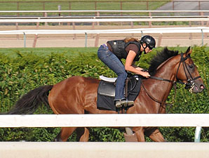 Big Brown Blows Out for Haskell on Turf Big Brown Blows Out for Haskell on Turf