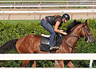 Big Brown Blows Out for Haskell on Turf