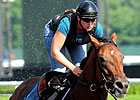Big Brown Draws the Rail in the Belmont
