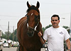 Big Brown Arrives at Monmouth Park