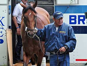 Big Brown Arrives; Ran Down in Preakness Big Brown Arrives; Ran Down in Preakness