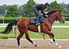 Belmont Notes: May 31 Belmont Notes: May 31