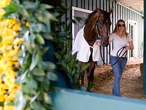 Preakness Notes: May 18 Preakness Notes: May 18