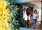 Preakness Notes: May 18 Preakness Notes: May 18