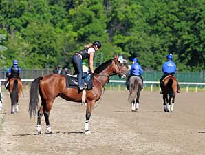 Haskin Belmont Wrap: Why Down on Brown? Haskin Belmont Wrap: Why Down on Brown?