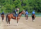 Haskin Belmont Wrap: Why Down on Brown?
